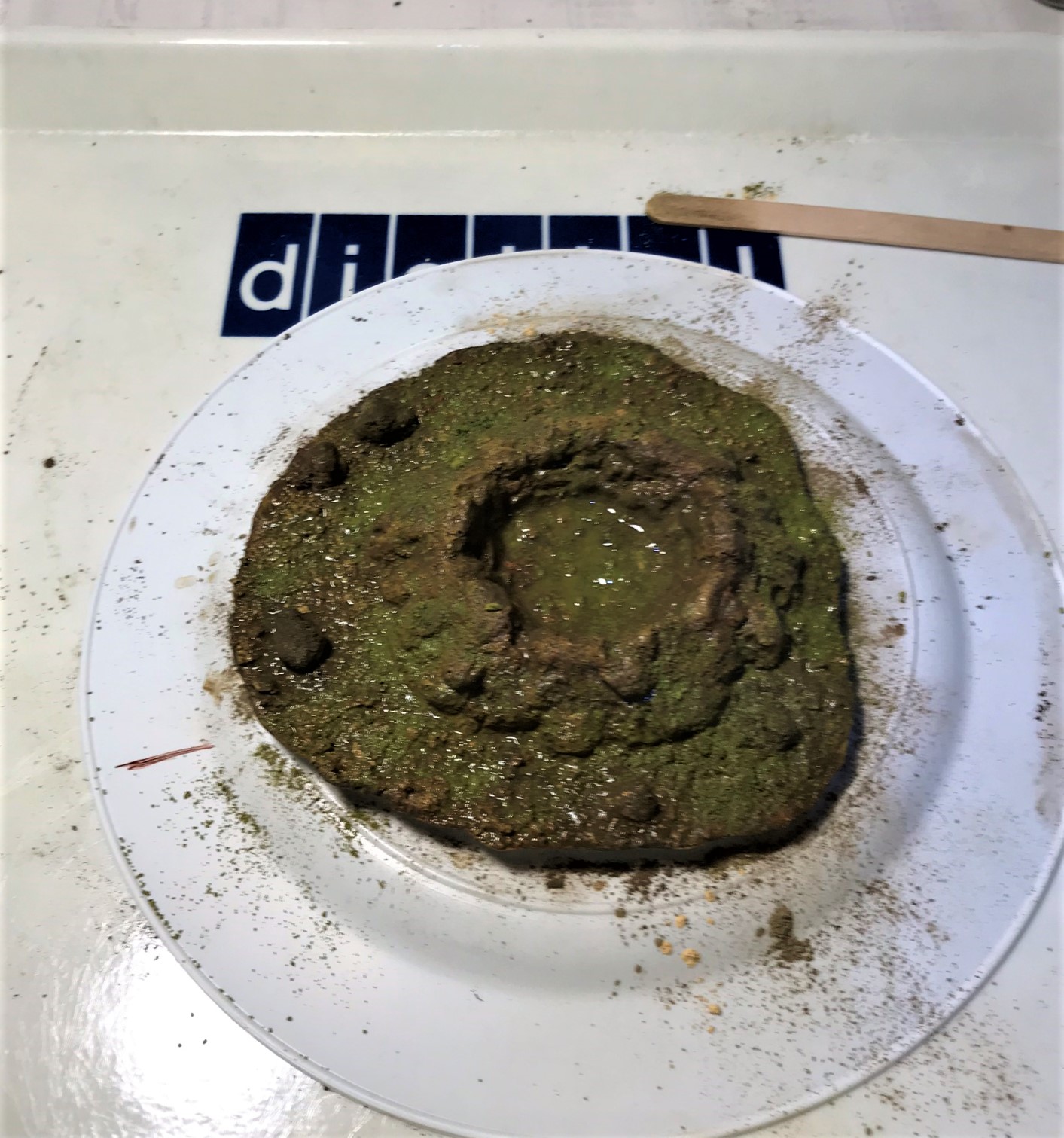 9 middle one with pigments and capillary