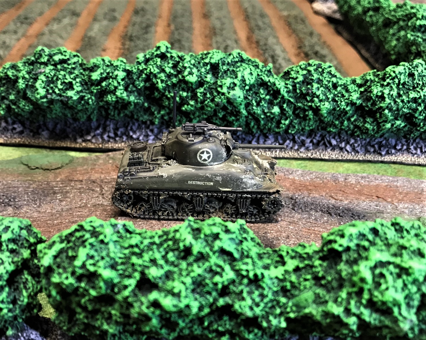 3 Destruction in the hedgerows