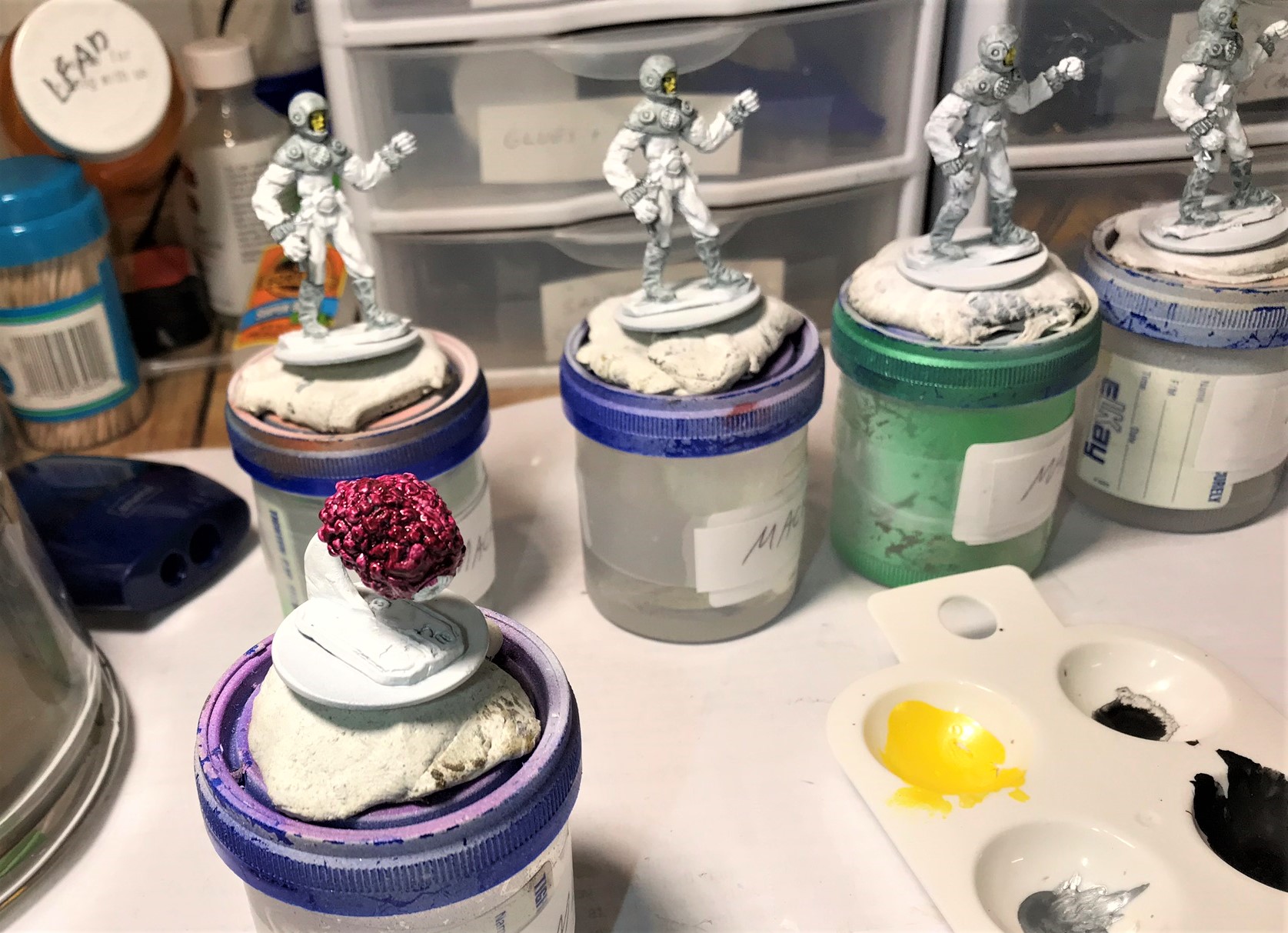 7 Brain in Volupus pink