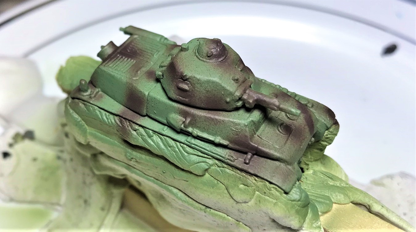 14 H39 close up after camo