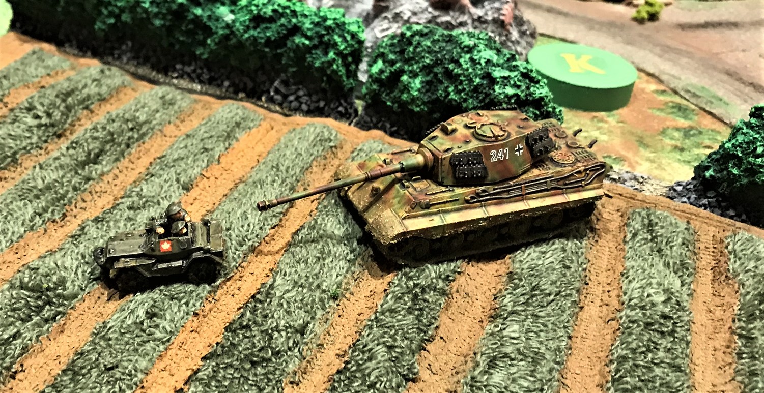 5 Dingo finds Tiger II