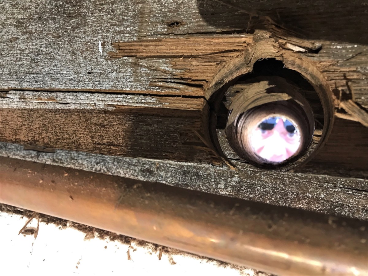 Our Garage+ Project – Week 10 and 11&nbsp;Update